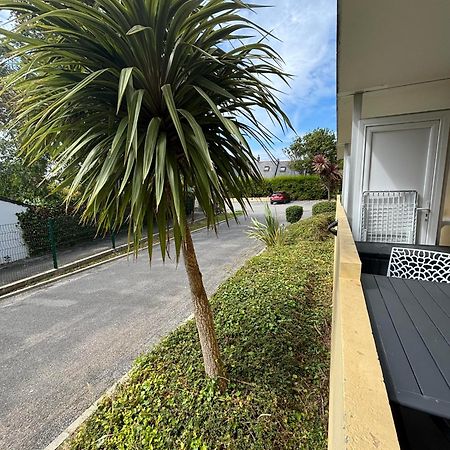 Appartement Studio 4 Personnes Dans Residence Avec Piscine Quiberon Eksteriør billede