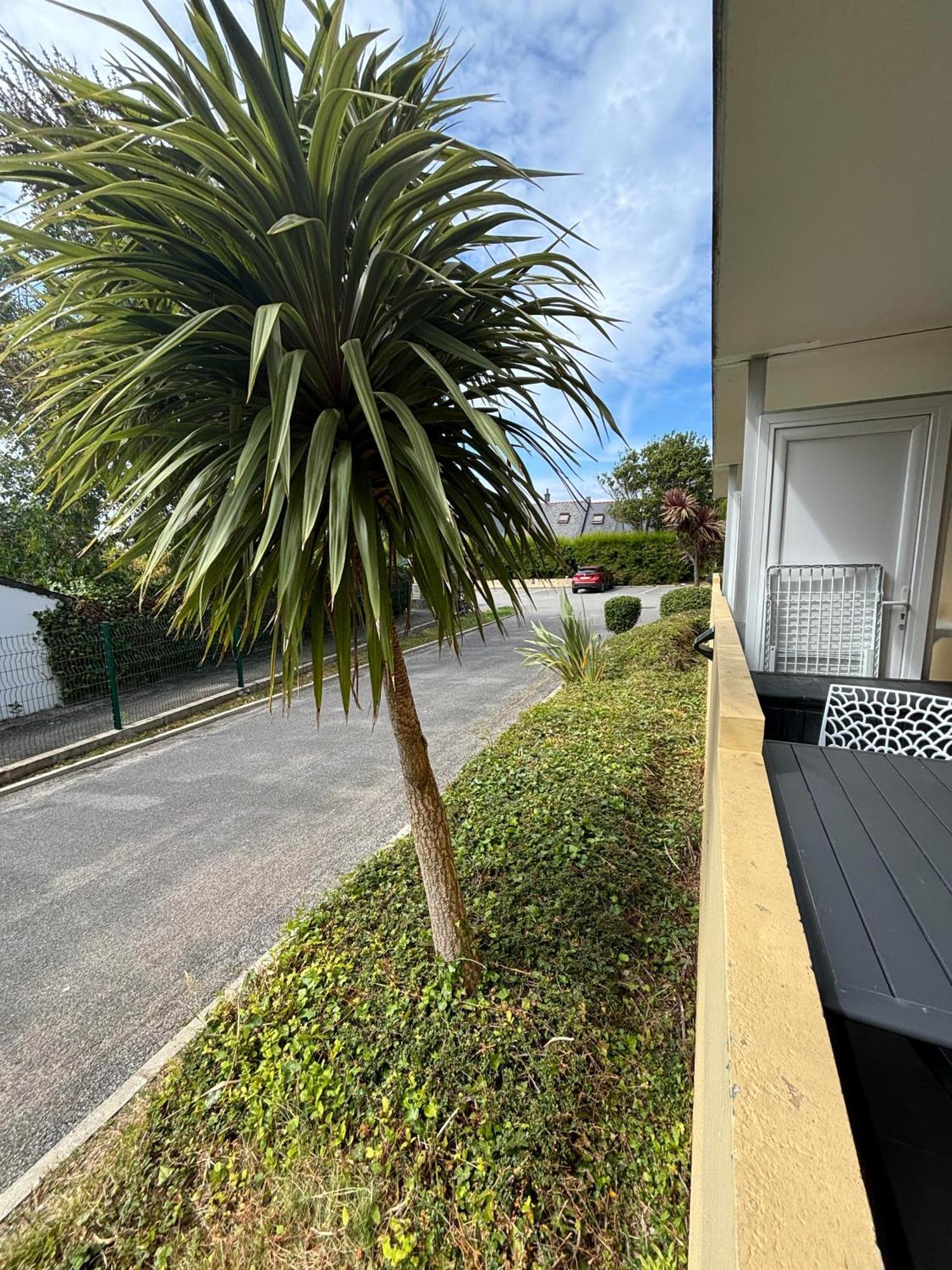 Appartement Studio 4 Personnes Dans Residence Avec Piscine Quiberon Eksteriør billede